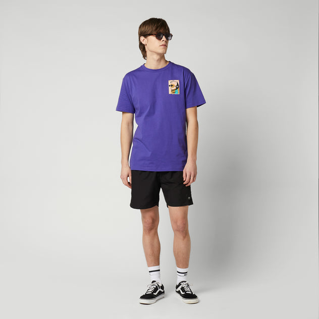 Product_image_3_Purple