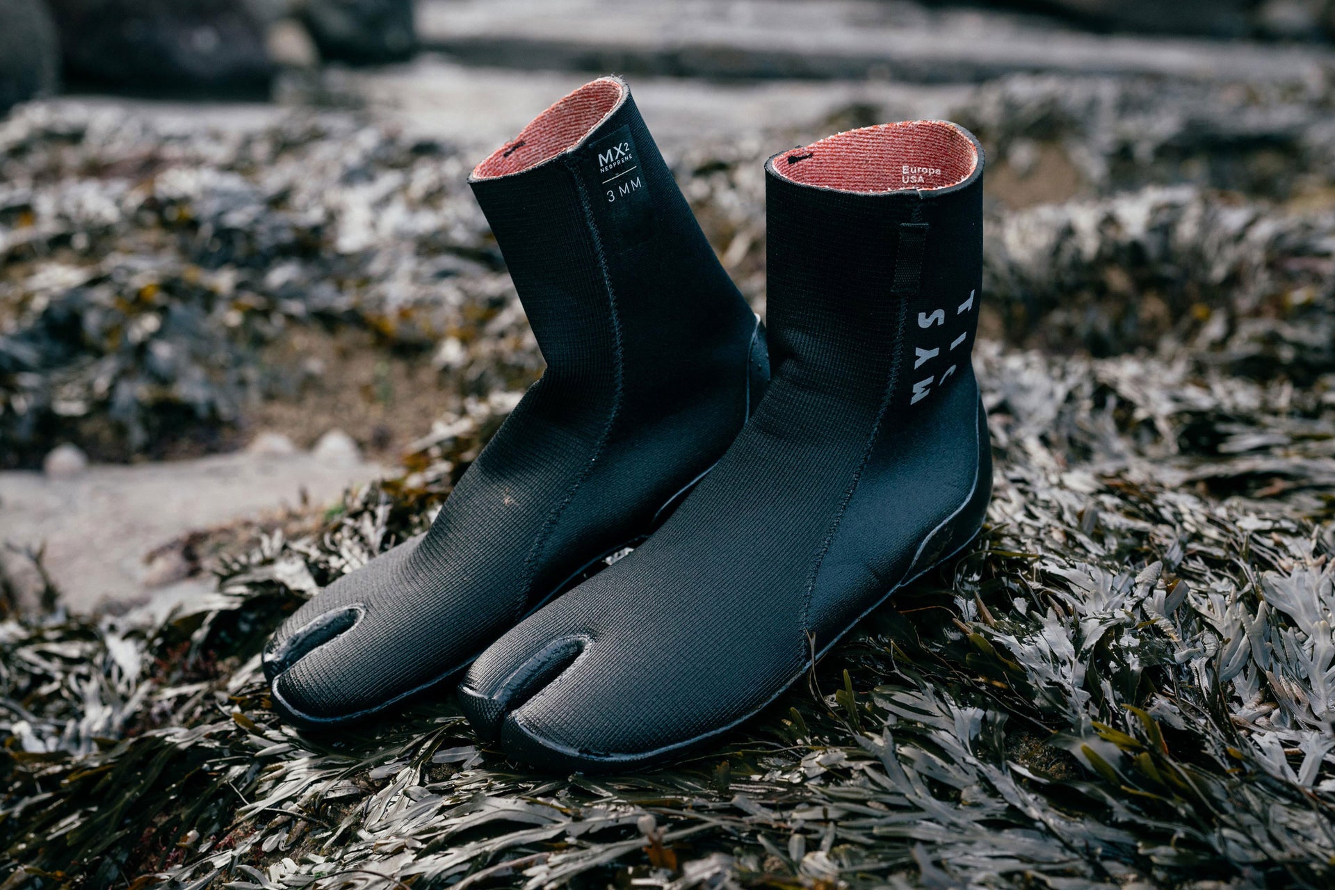 Mystic Roam Marketing Image 2