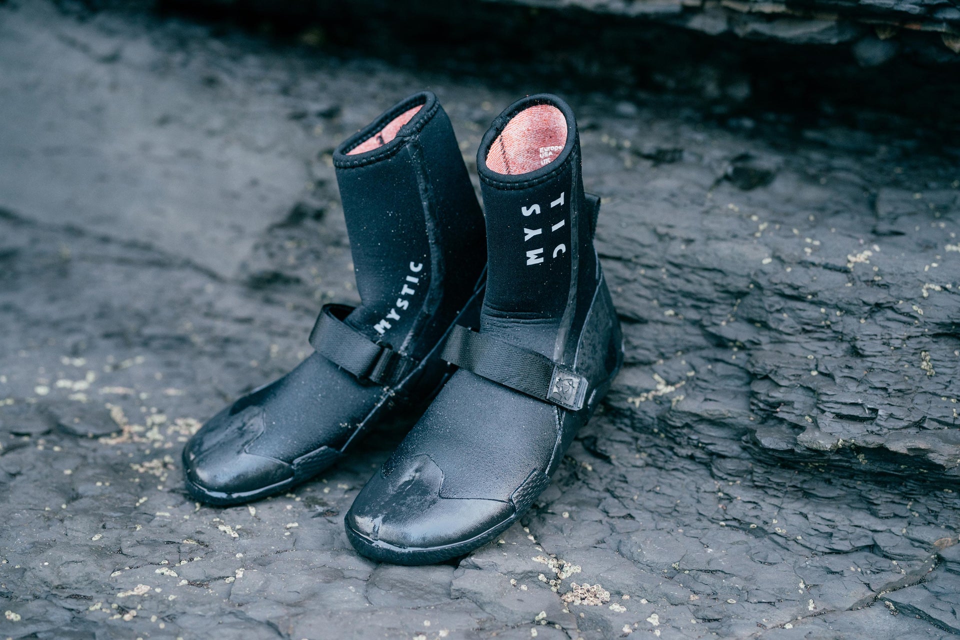 Mystic Roam Marketing Image 1