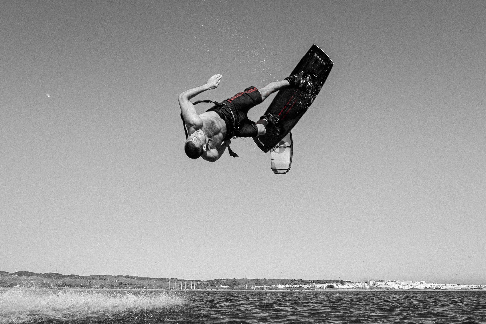 Mystic Wild Rose Marketing Image 5