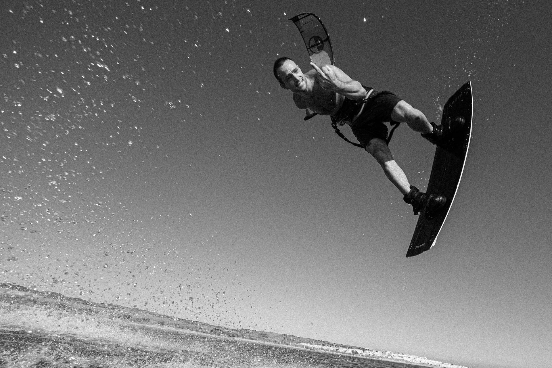 Mystic Wild Rose Marketing Image 1