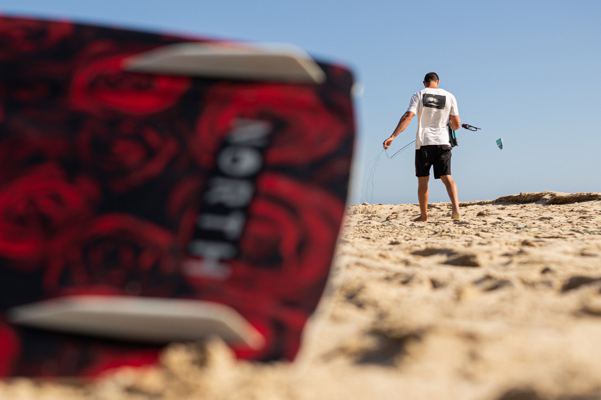 Mystic Wild Rose Marketing Image 4