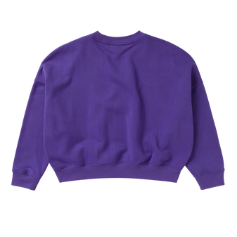 Product_image_2_Purple