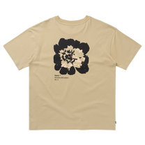 S / Pale Khaki product image